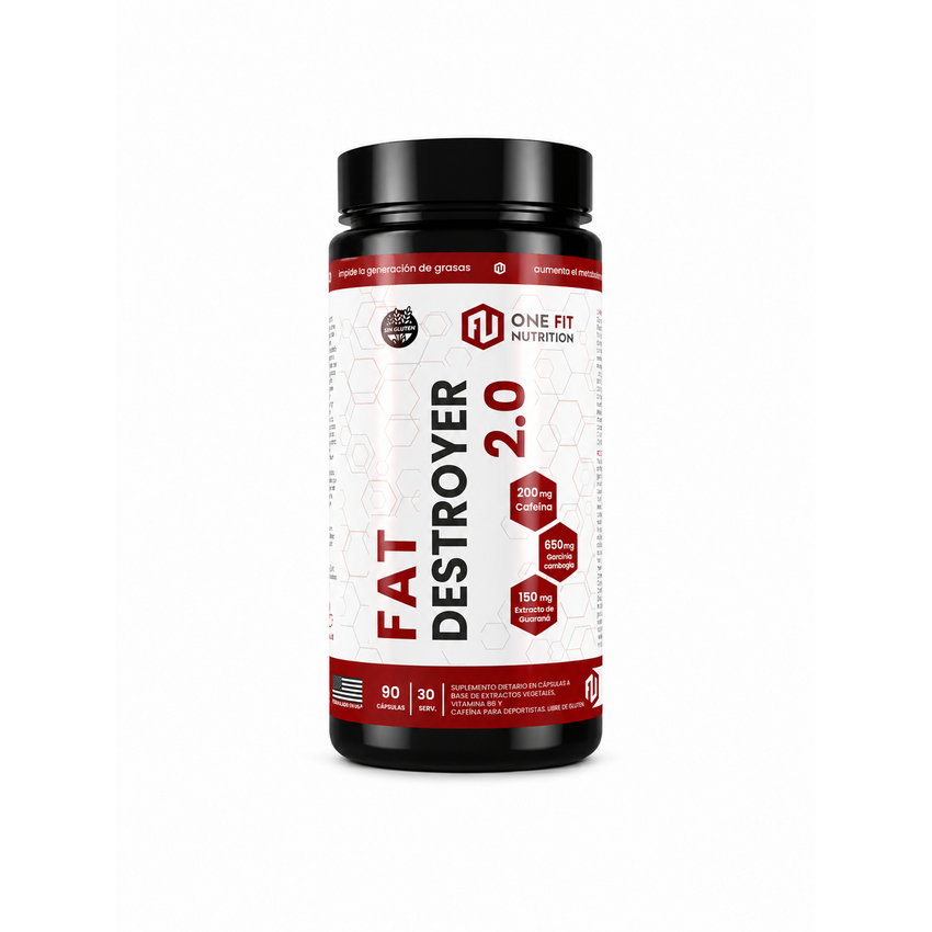 Fat Destroyer 2.0