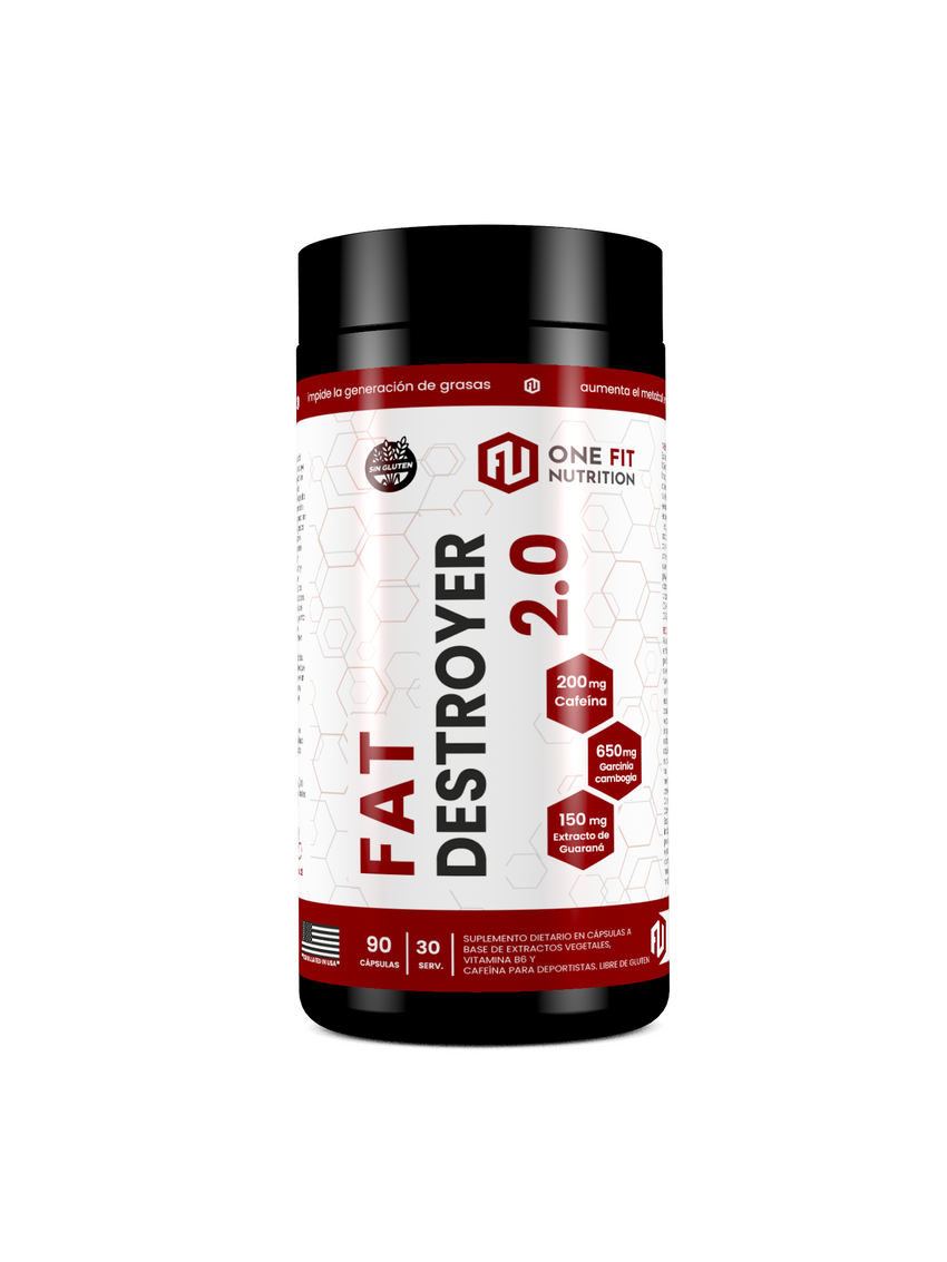 Fat Destroyer 2.0